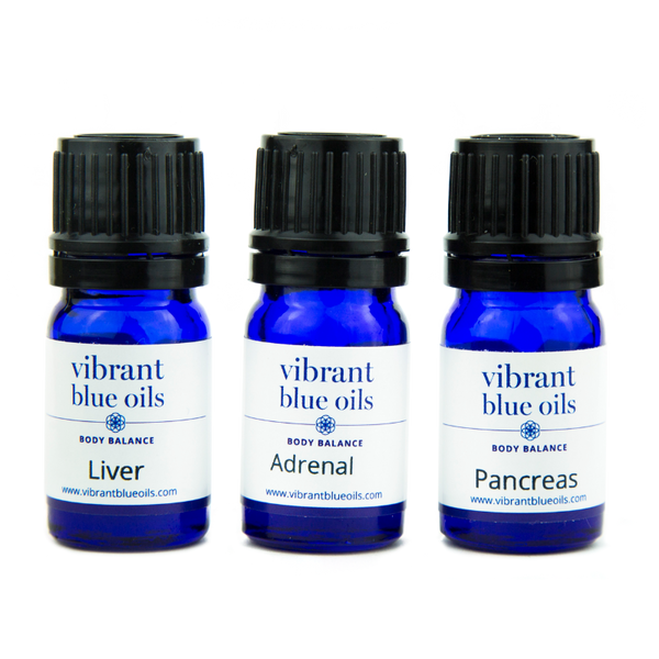 Blood Sugar Support Kit™