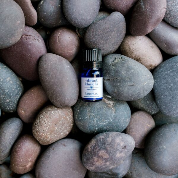 A small bottle labeled "Pancreas™ oils for the pancreas" rests among smooth, multicolored stones.